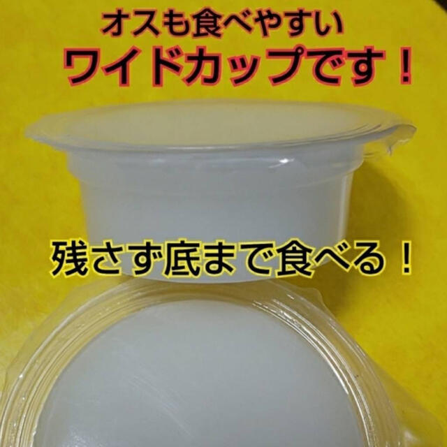 送料無料！ハイグレードプロゼリー50個ワイドカップ　17g　成分拘ったプロ仕様 その他のペット用品(虫類)の商品写真