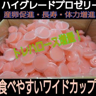 送料無料！ハイグレードプロゼリー50個ワイドカップ　17g　成分拘ったプロ仕様(虫類)