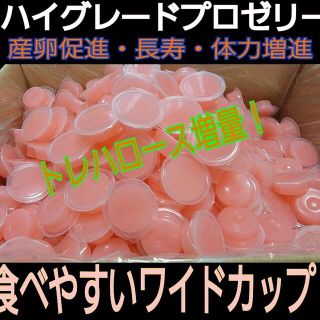 送料無料！ハイグレードプロゼリー50個ワイドカップ　17g　成分拘ったプロ仕様(虫類)