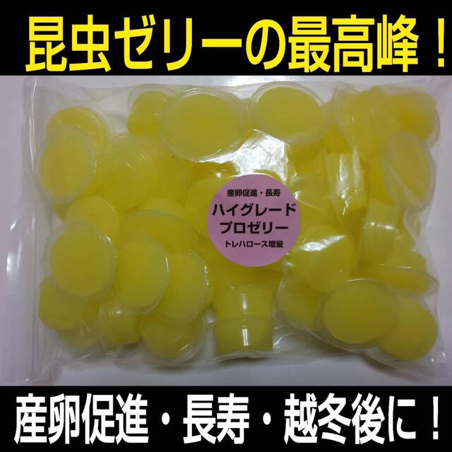 送料無料！ハイグレードプロゼリー50個ワイドカップ　17g　成分拘ったプロ仕様 その他のペット用品(虫類)の商品写真