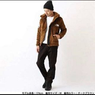 THE NORTH FACE - 【希少カラー、L】アンタークティカバーサ