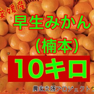 早生みかん（楠本）10キロ(フルーツ)