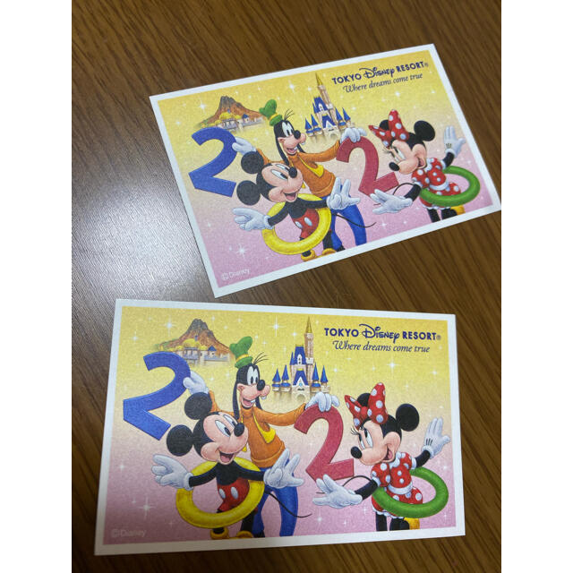 ディズニーリゾート1dayパス チケット 2枚(未抽選) - 遊園地/テーマパーク