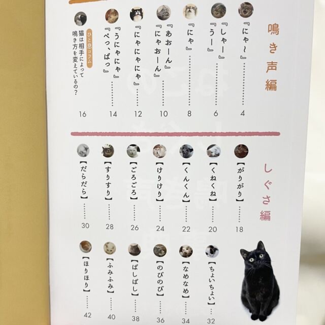 専用品 *.ﾟ その他のペット用品(猫)の商品写真