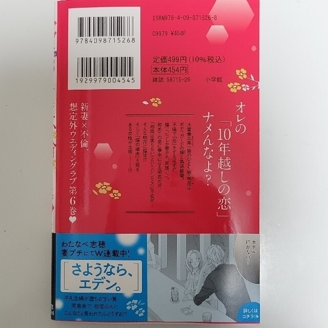 小学館(ショウガクカン)の１８歳、新妻、不倫します。6巻 エンタメ/ホビーの漫画(少女漫画)の商品写真