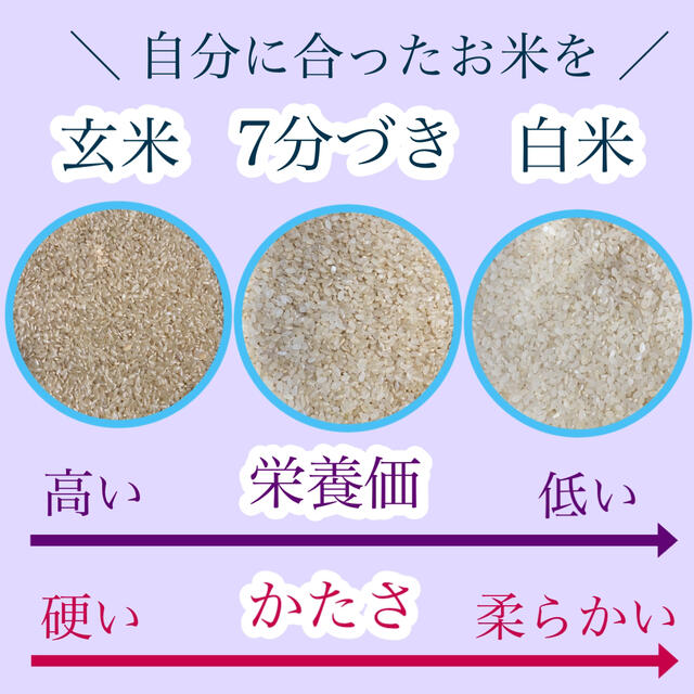 20キロ　令和3年度　米/穀物　新米　埼玉県産　送料無料　農家直送　コシヒカリ　白米