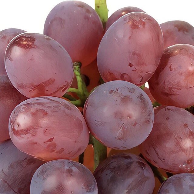 マイハート ウィンク 紫苑 3品種 11月14日で終了します。 食品/飲料/酒の食品(フルーツ)の商品写真