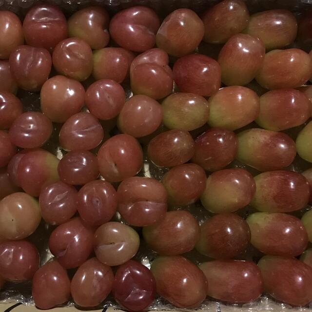 マイハート ウィンク 紫苑 3品種 11月14日で終了します。 食品/飲料/酒の食品(フルーツ)の商品写真