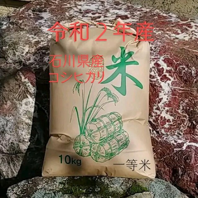 産地直送 令和２年産 コシヒカリ10kg 玄米 一等米
