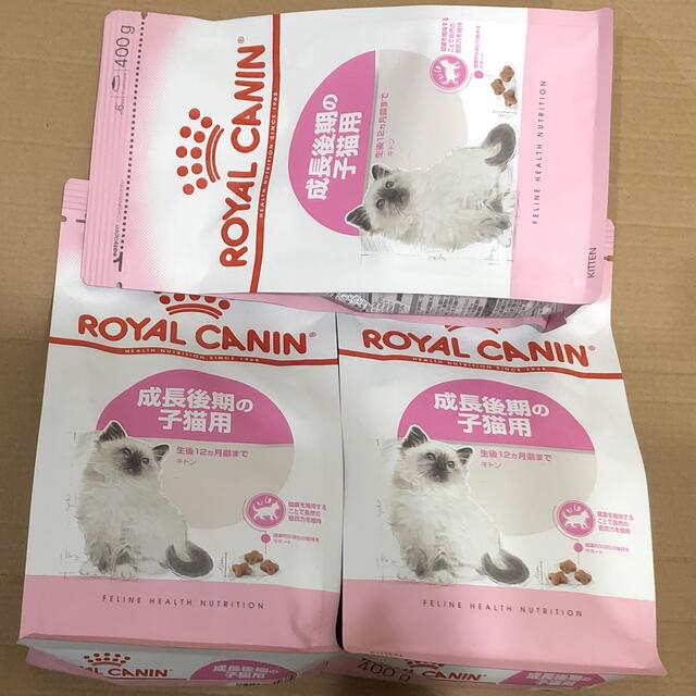 ROYAL CANIN(ロイヤルカナン)のロイヤルカナン 子猫用ドライフード キトン400g×3袋セット 成長後期の子猫 その他のペット用品(ペットフード)の商品写真