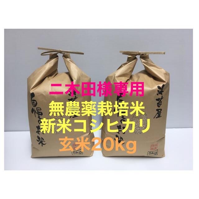 売れ筋新商品 ニ木田 新米 無農薬コシヒカリ玄米20kg(5kg×4)令和3年 徳島県産 米/穀物 売れ筋新商品 ニ木田 新米 無農薬コシヒカリ玄米20kg(5kg×4)令和3年 徳島県産 米/穀物