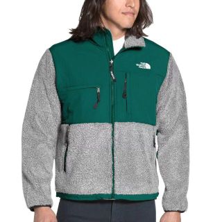 ザノースフェイス(THE NORTH FACE)のノースフェイス★M レトロ デナリジャケット フリース海外限定(その他)