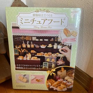 ユッケ商店様専用 アシェットミニチュアフード30巻セット www