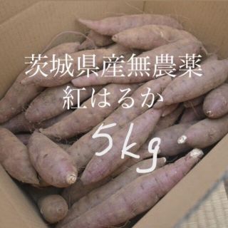 【訳あり】茨城県産無農薬紅はるか5kgさつまいも(野菜)