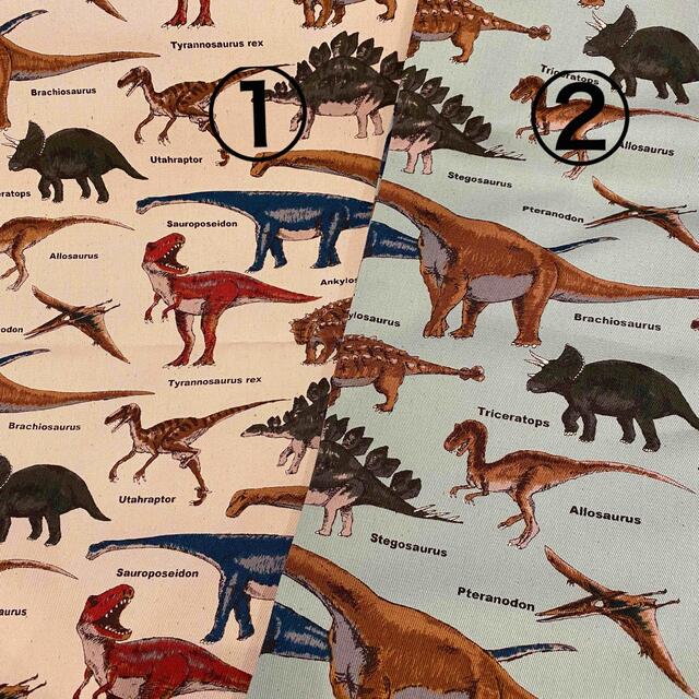 素敵でユニークな 恐竜　生地 生地+糸