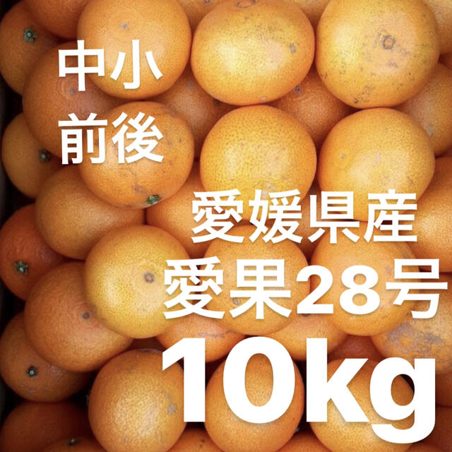 【ご自宅用！高糖度★小玉まどんな】超お得！S～L愛果28号 10Kg