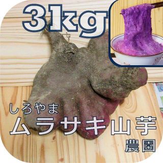 紫山芋(土付き)3kg(野菜)