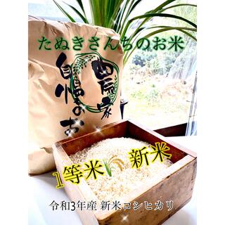 たぬきさんちのコシヒカリBL 10kg(米/穀物)