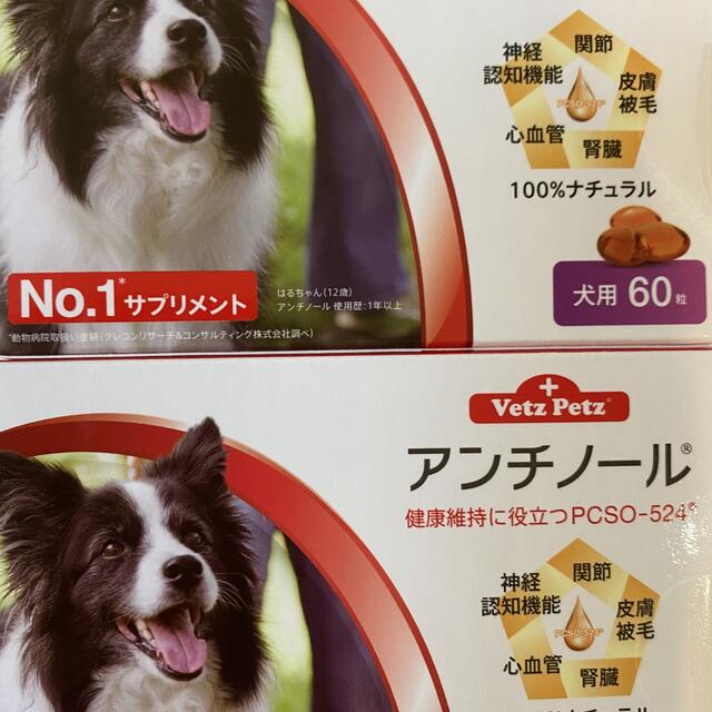 アンチノール犬用60粒2箱セット