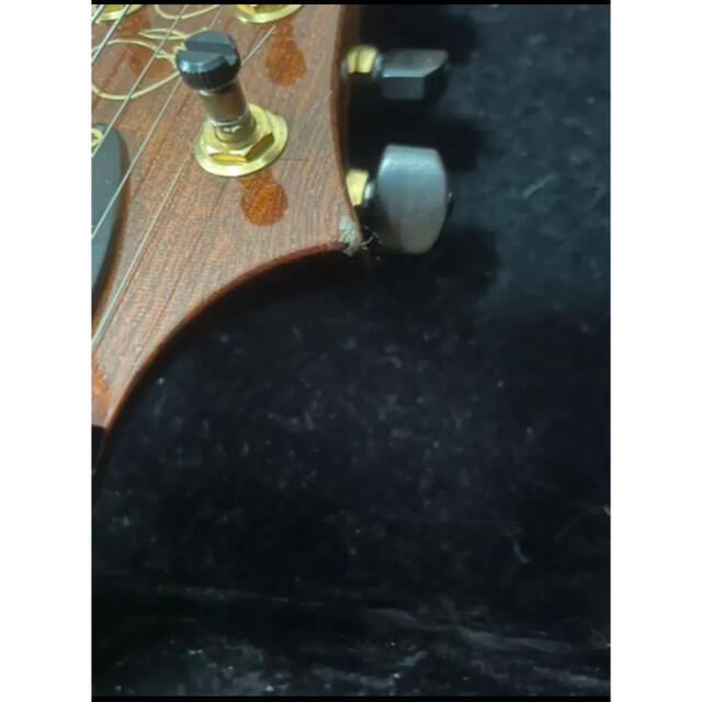 PRS Exotic Wood Series Custom 22 BP 楽器のギター(エレキギター)の商品写真