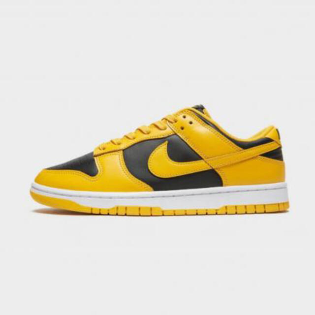 【27.0cm】ナイキ ダンク ロー アイオワ NIKE DUNK LOW