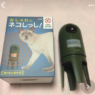 ねこしっし^_^(猫)