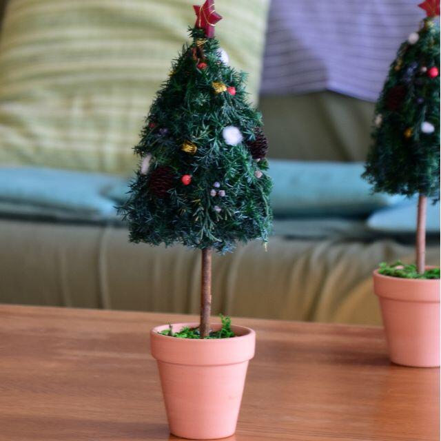 小さなクリスマスツリー ハンドメイドのフラワー/ガーデン(プリザーブドフラワー)の商品写真