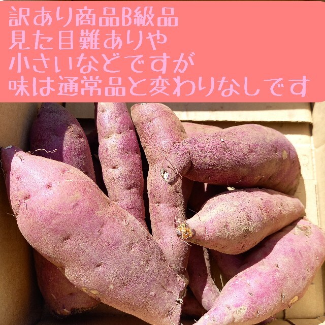 サツマイモ 紅はるかC級品 訳あり箱入15キロ 特大 のみ入るだけ 食品/飲料/酒の食品(野菜)の商品写真