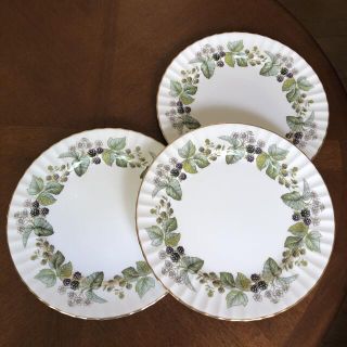 ロイヤルウースター(Royal Worcester)の【レア美品】ロイヤルウースター★ラヴィニア★ディナー皿　2枚(食器)