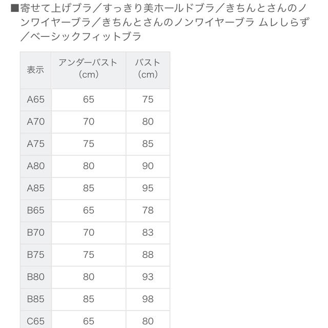 FANCL(ファンケル)のFANCL/ファンケル きちんとさんのノンワイヤーブラ レディースの下着/アンダーウェア(ブラ)の商品写真