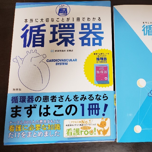 本当に大切なことが1冊でわかる循環器 エンタメ/ホビーの本(健康/医学)の商品写真