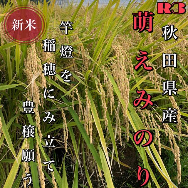 農家直送！令和3年 秋田県産【萌えみのり】玄米25kg 減農薬〈新米〉一等米。