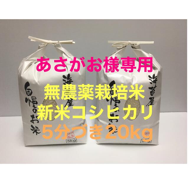 安価 ワタナベ あさがお 無農薬コシヒカリ5分づき20kg(5kg×4)令和3年産