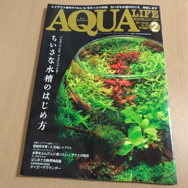 月刊 AQUA LIFE (アクアライフ) 2021年 02月号 エンタメ/ホビーの雑誌(趣味/スポーツ)の商品写真
