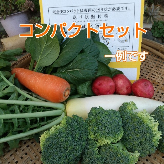 コンパクト 野菜詰め合わせ 農薬不使用