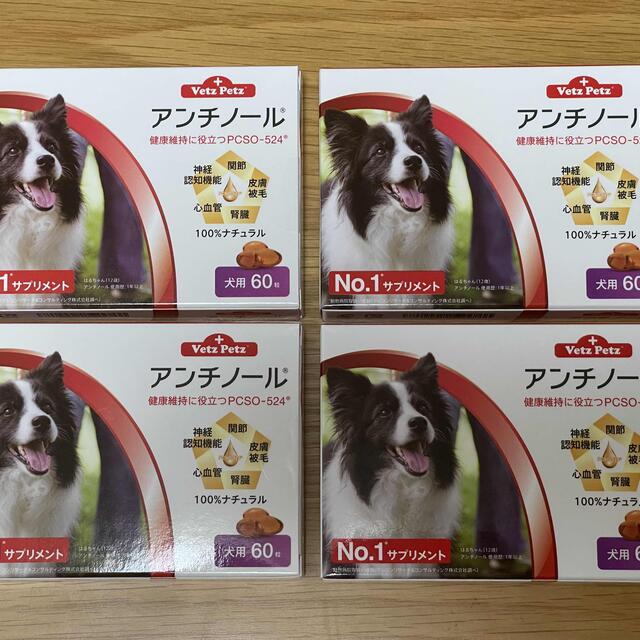 犬用アンチノール 60粒 4箱犬