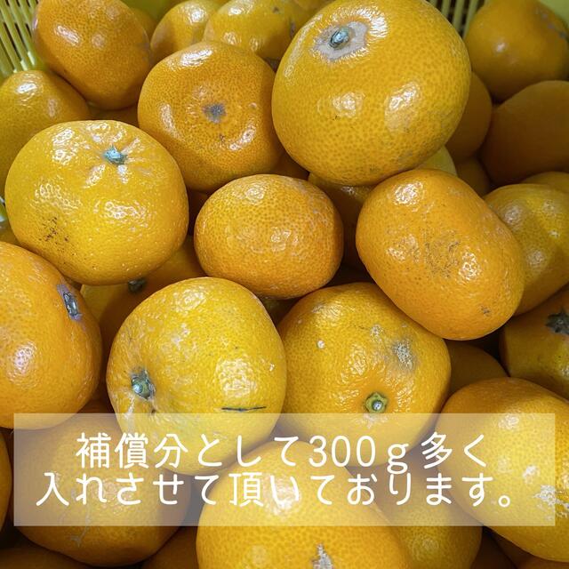 訳あり‼️和歌山県産 有田みかん【小玉】10kg 食品/飲料/酒の食品(フルーツ)の商品写真