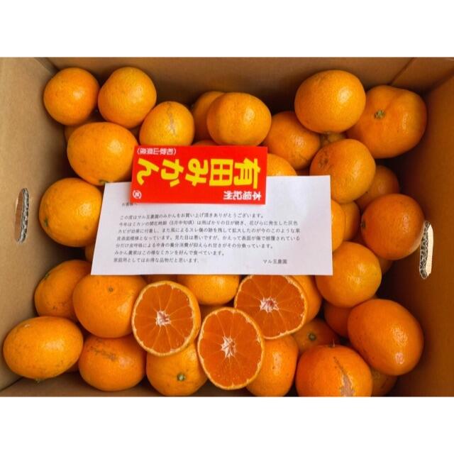 ＜超お買い得＞マル玉農園 ☆味自慢☆お得家庭用みかん 3kg 食品/飲料/酒の食品(フルーツ)の商品写真