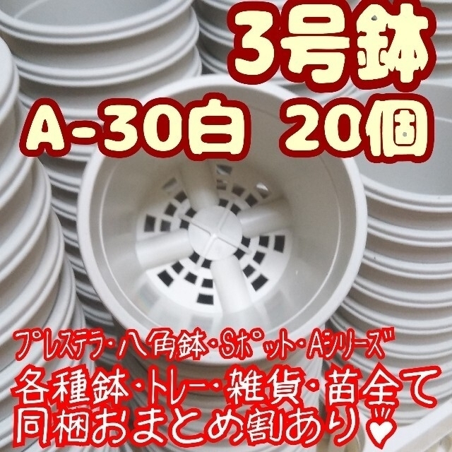 プラ鉢3号鉢【A-30】20個 他 スリット鉢 丸 プレステラ 多肉植物 ハンドメイドのフラワー/ガーデン(プランター)の商品写真