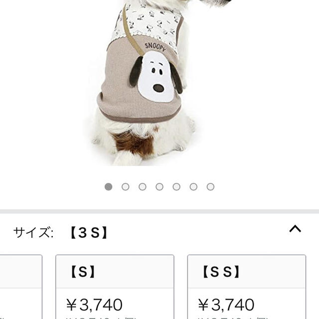 犬　服　スヌーピー その他のペット用品(犬)の商品写真