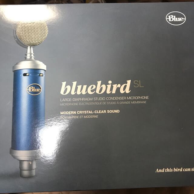 独特な 【送料無料】 bluebird SL 値段交渉ありです 楽器