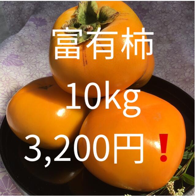 和歌山 富有柿 ご家庭用 ふるさと納税 ☆先行予約☆ 和歌山秋の味覚 富有柿 約7.5kg 和歌山県由良町