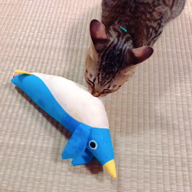 ペティオ けりぐるみ ペンギン ネコ おもちゃ ぬいぐるみ ネコキック またたび その他のペット用品(猫)の商品写真