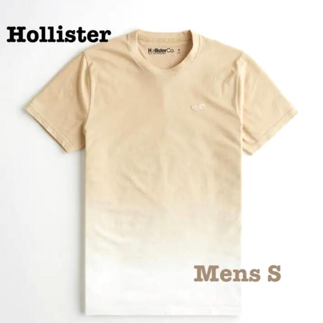 Hollister(ホリスター)の★ホリスター新品未使用タグ付き★送料込み メンズのトップス(Tシャツ/カットソー(半袖/袖なし))の商品写真