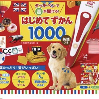 ショウガクカン(小学館)のてぃーさん用セット(知育玩具)