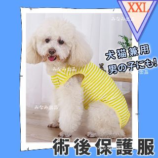 猫 犬 術後服 ウェア 雄 雌 兼用 エリザベスカラー 離乳服 イエロー XXL(猫)