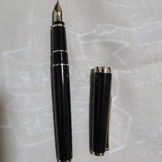 PILOT - パイロット 万年筆 エラボー FE-25SR-BSM ブラックの通販 ...