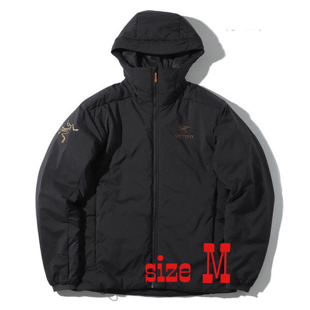 アークテリクス アトムARビームス別注24k Atom HOODY BEAMS-