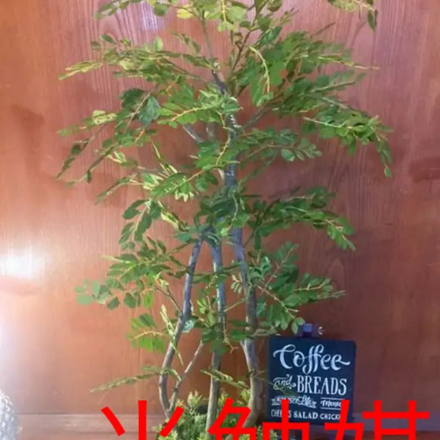 光触媒　人工観葉植物　ウォールグリーン　フェイク　アレンジ　トネリコ118