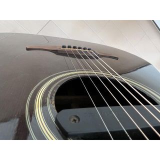 Fender - Fender Rocky アコースティックギター エレアコ ハードケース